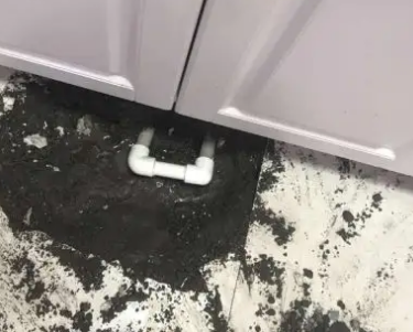 韶山查漏水哪家好
